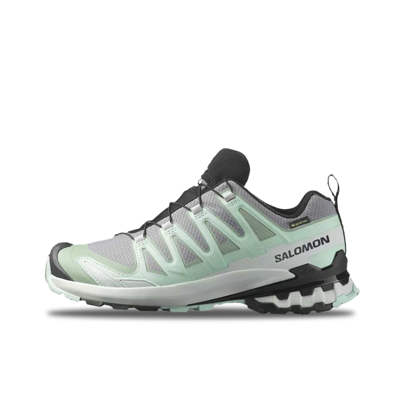 Salomon XA Pro 3D V9 GTX : Cha - Salomon Shoes Xa Pro 3D avis et prix